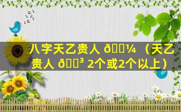 八字天乙贵人 🌼 （天乙贵人 🌳 2个或2个以上）